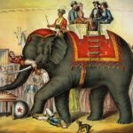 Animal_circus_animal_abuse